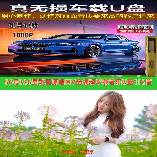 32G第56号4K与4K转1080P超清高端豪华男歌星老歌车载音乐视频U盘