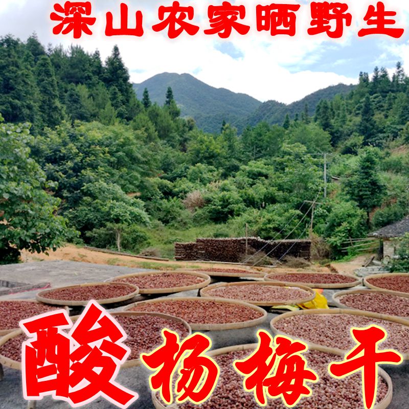 野生杨梅干特酸孕妇零食农家自晒原味自制酸甜泡酒果干罐装包邮