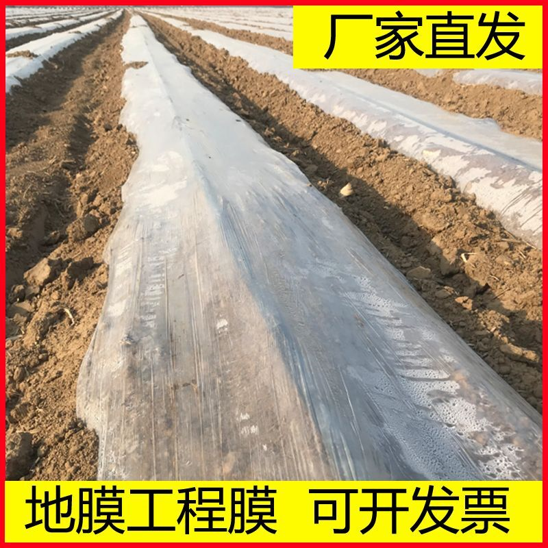 薄膜地膜地面保护膜塑料透明混凝土建筑工地专用膜工程膜养护薄膜