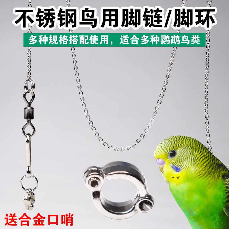鹦鹉脚环脚链不锈钢鸟链子虎皮八哥牡丹玄凤伯劳开口扣站架用品