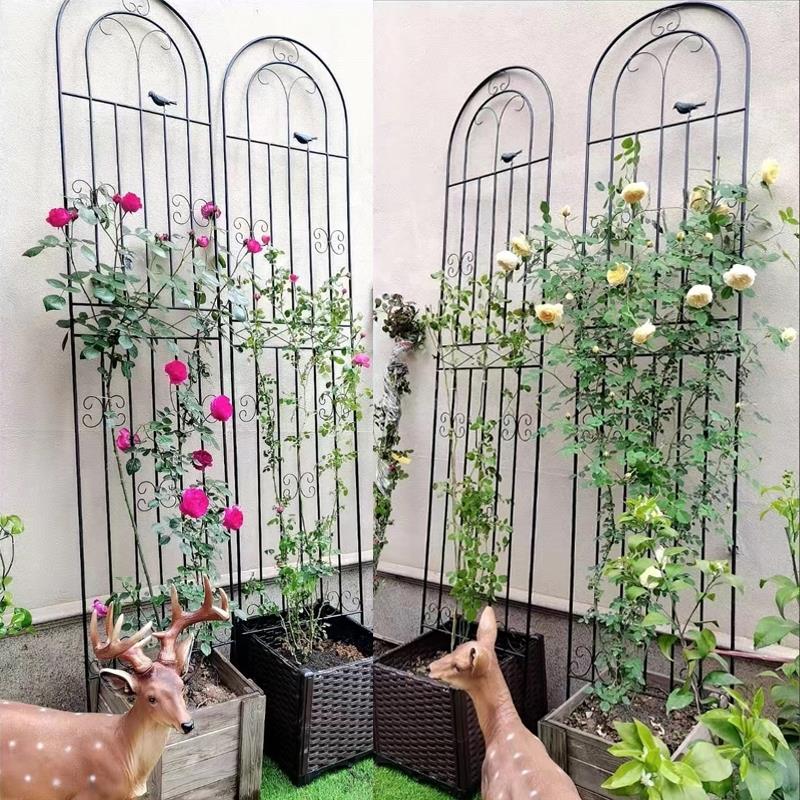 铁线莲爬藤架蔷薇月季种植户外栅栏庭院支撑杆花架铁艺植物攀爬架