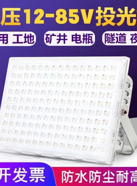 LED低压直流12V24v36v48v伏投光灯户外防水矿井渔船用工地蚂蚁灯