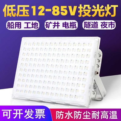 LED低压直流12V24v36v48v伏投光灯户外防水矿井渔船用工地蚂蚁灯