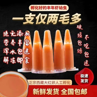 大红卵丰年虾幼虫新鲜冰冻幼苗孔雀鱼迷你鹦鹉波子刚出生小鱼饲料