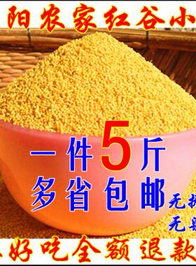 500g防虫包装新米朝阳红谷黄小米