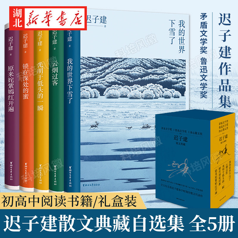 迟子建精选正版小说散文作品集 朋友们来看雪吧 我的世界下雪了云烟过客 锁在深处的蜜 光明于低头的一瞬 原来姹紫嫣红开遍