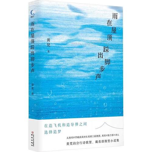 雨在屋顶踩出脚步声 黄梵中国现当代诗歌 飞行力学老师用诗歌造梦 不是小说，却比小说更会讲故事！南京出版社 湖北新华书店旗舰店