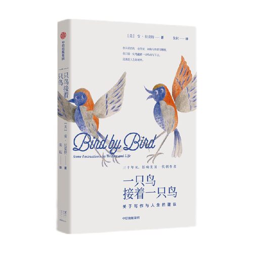 一只鸟接着一只鸟 关于写作与人生的建议