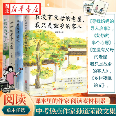 【全4册】孙道荣散文系列 奶奶的半个心愿+寻找妈妈的寻人启事+乡村夜晚的光+在没有父母的老屋 我只是故乡的客人 写作素材散文