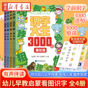 启蒙早教书幼儿园启蒙认字书识字卡片幼儿认字启蒙教学看图识字儿童卡片有声伴读 全套四册识字书幼儿认字 全4册 识字大王3000字