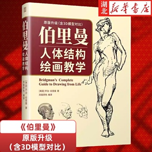 美学大师黄金版伯里曼人体结构绘画教学人物速写入门手绘基础临摹书描摹本构造解剖教材人体素描书籍原理和教程素描速写美术生专用