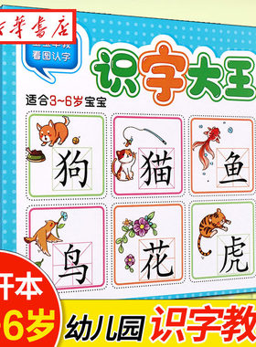 识字大王儿童学前看图识字书