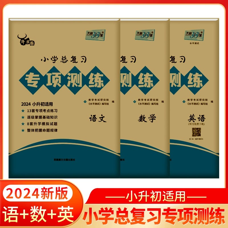 正版 现货速发 2024版天利38套小学总复习专项测练 3本套 牛皮卷专项突破练习试卷巩固基础知识模拟试题小学升初中总复习辅导书