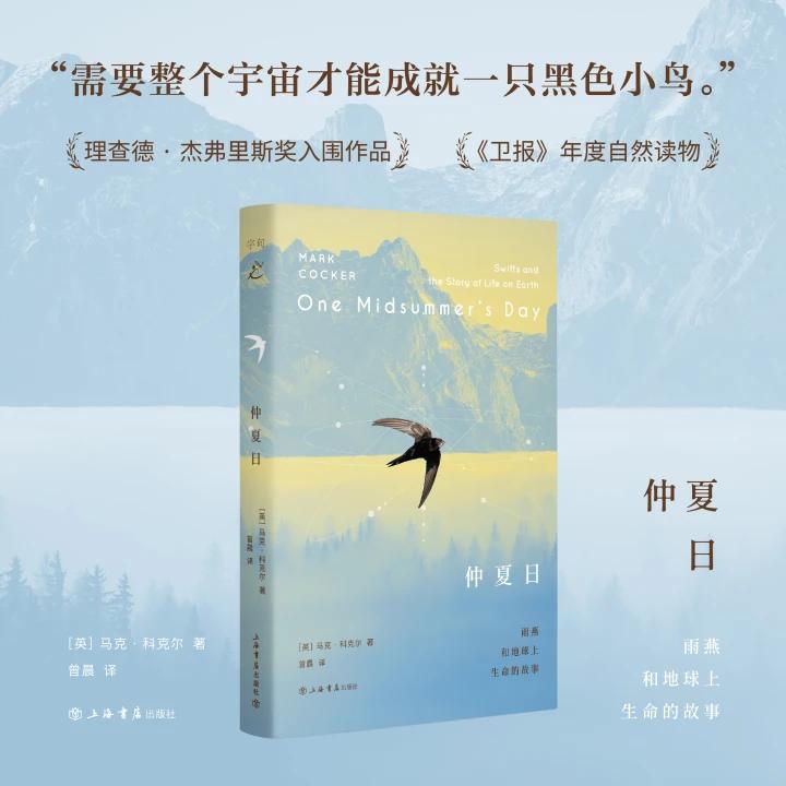仲夏日：雨燕和地球上生命的故事 英国博物学家马克科克尔十五年观测雨燕成果融合科学历史文学书写鸟类迁徙与万物联结自然文学