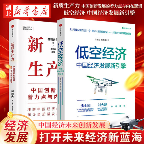 【全2册】低空经济 中国经济发展新引擎+新质生产力 中国创新发展的着力点与内在逻辑 低空经济打开未来经济新蓝海 高质量发展