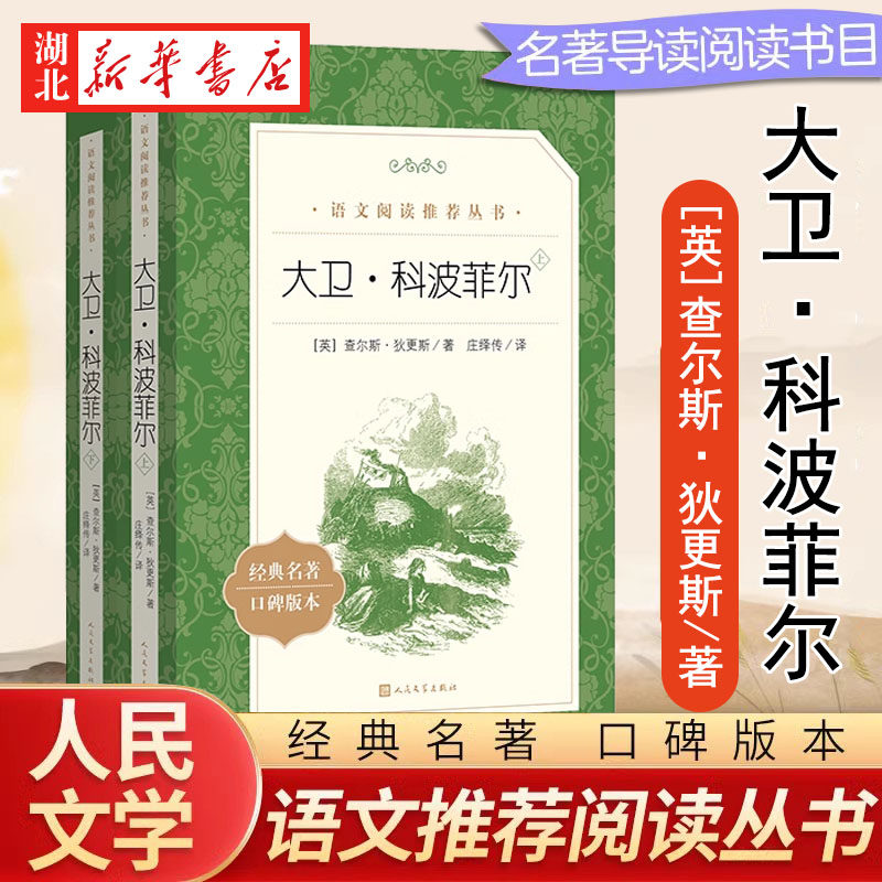 大卫科波菲尔(上下)2册 人民文学出版社 经典名著口碑版本 原著正版书籍世界文学名著 人文版 名家名译畅销书籍 新华书店正版