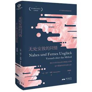 何怀宏 无处安放的同情 关于全球化的道德思想实验 莱比锡图书奖得主经典哲学著作 20余位欧洲哲学家跨时空思想交锋 湖北新华