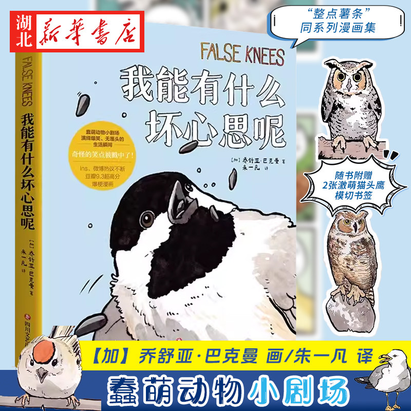 【赠书签*2】我能有什么坏心思呢 去码头整点薯条沙雕蠢萌小动物绘本外国看漫画畅销实体书籍画册 乔舒亚巴克曼小动物搞笑幽默漫画