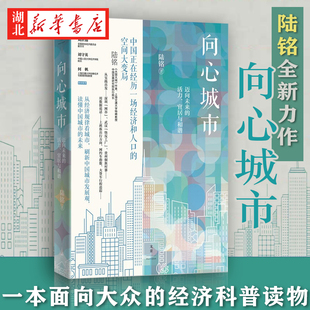 大国大城姐妹篇 陆铭作品 中国经济书籍 向心城市 中国城市建设研究世纪文景另著空间 活力 迈向未来 宜居与和谐 力量 上海人民