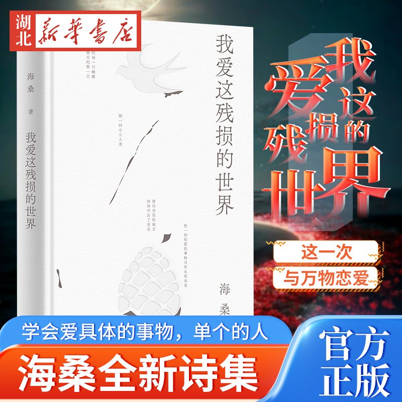 我爱这残损的世界海桑全新诗集