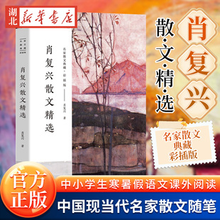 收录那片绿绿 爬山虎手绘插图现当代文学散文精选集名家作品 长江文艺出版 肖复兴散文精选 新华书店正版 彩插版 社 名家散文典藏
