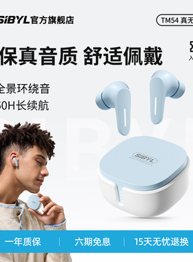 SIBYL熙彼儿真无线蓝牙耳机降噪游戏入耳式高品质长续航2025新款