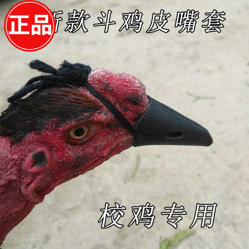 斗鸡 斗鸡用品 斗鸡嘴套 泰国斗鸡皮嘴套 斗鸡训练用品斗鸡皮护具