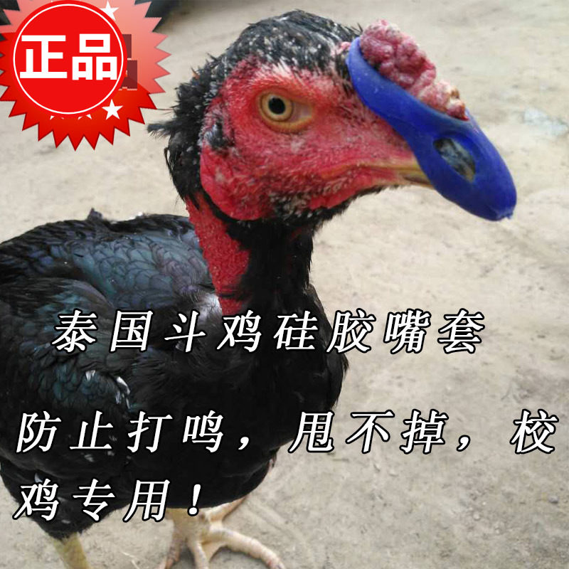 斗鸡用品泰国斗鸡嘴套 斗鸡护具 斗鸡脚套 斗鸡训练用品斗鸡嘴套