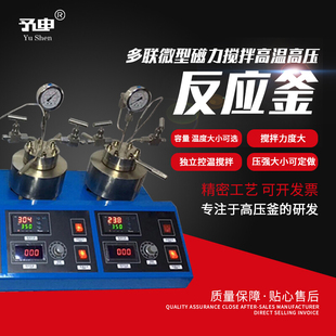 多联高温高压反应釜/双联并联一体高压釜/数显控温防爆高压反应釜