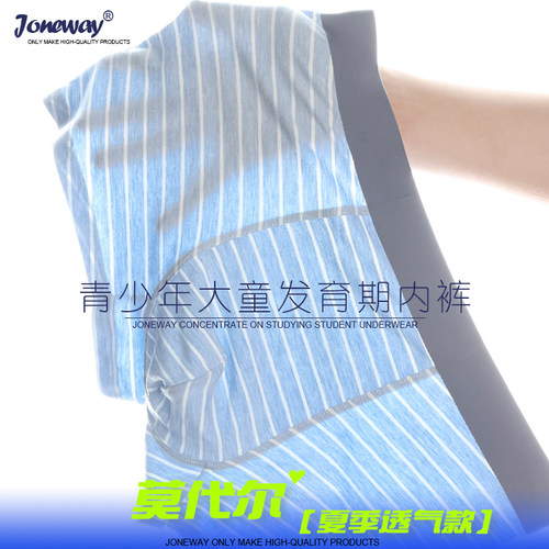 青少年发育期男孩莫代尔透气内裤