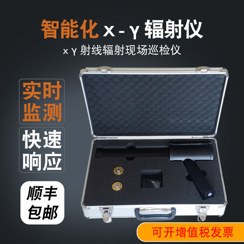 X γ 环境射线辐射巡检仪 辐射剂量率仪RP6000 高精度枪式监测仪