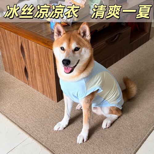 宠物背心柴犬柯基狗狗衣服夏季薄款冰丝凉凉衣透气速干防晒背心