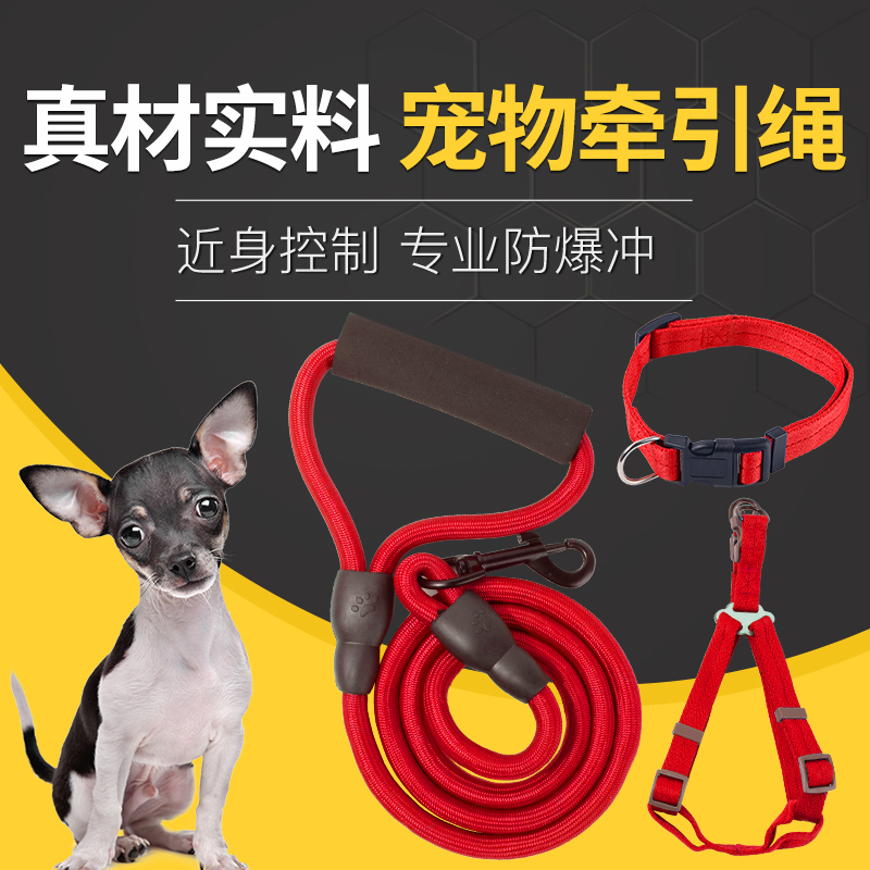 狗狗牵引绳大型中型小型犬幼犬遛狗绳子狗链项圈泰迪胸背带溜狗绳