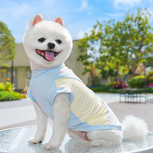 春夏季狗狗用品凉凉衣冰丝背心小中型犬外出防晒狗衣服宠物衣服