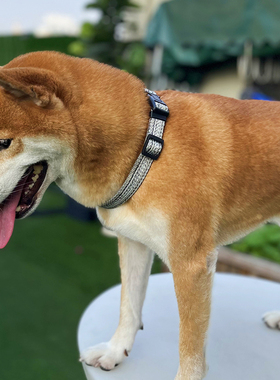 亚麻狗狗项圈牵引绳宠物遛狗绳大型中型小型犬狗链子颈套金毛脖圈