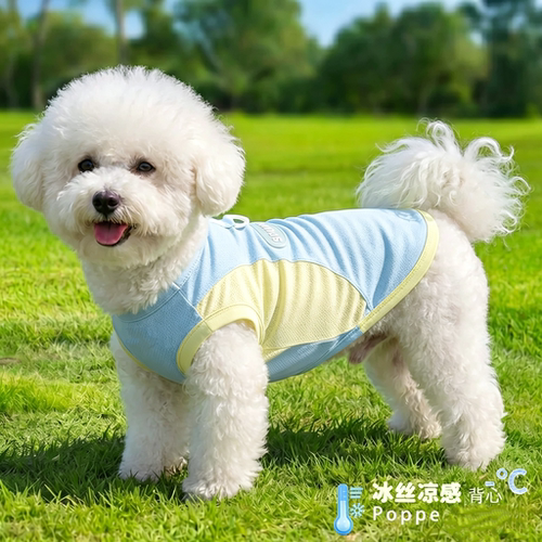比熊狗狗凉凉衣夏天衣服小狗薄款防晒衣宠物夏季2026新款夏天背心