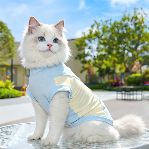 猫咪衣服夏季薄款宠物冰丝防掉毛背心马甲四脚衣空调服凉凉衣狗狗