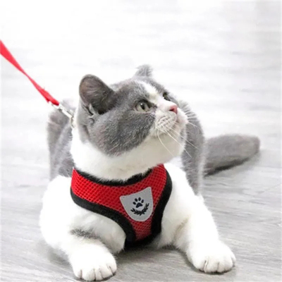 猫咪背心式泰迪外出防挣脱牵引绳