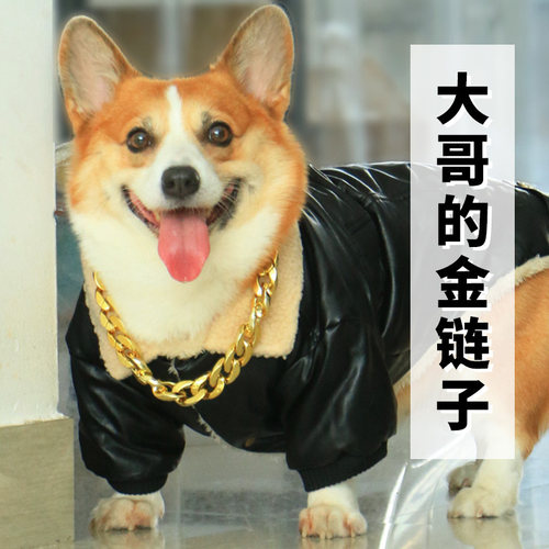 大金链子易佩戴电镀不易褪色