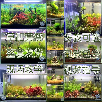 海星桌面水草缸套装带景观送鱼