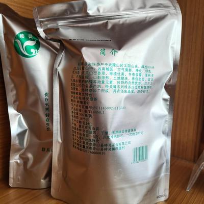 秀山特产钟灵绿茶2024新茶叶袋装 500g高山云雾茶 凯堡茶武陵山茶