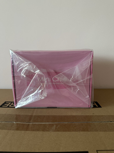 N社 特典 迷你智惠 15周年纪念 手办 智恵 Native