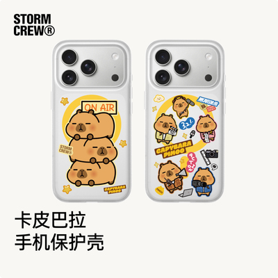 影视飓风×卡皮巴拉联名17手机壳Pan's  iPhone17Pro&ProMax私模IML叠层防摔苹果手机壳