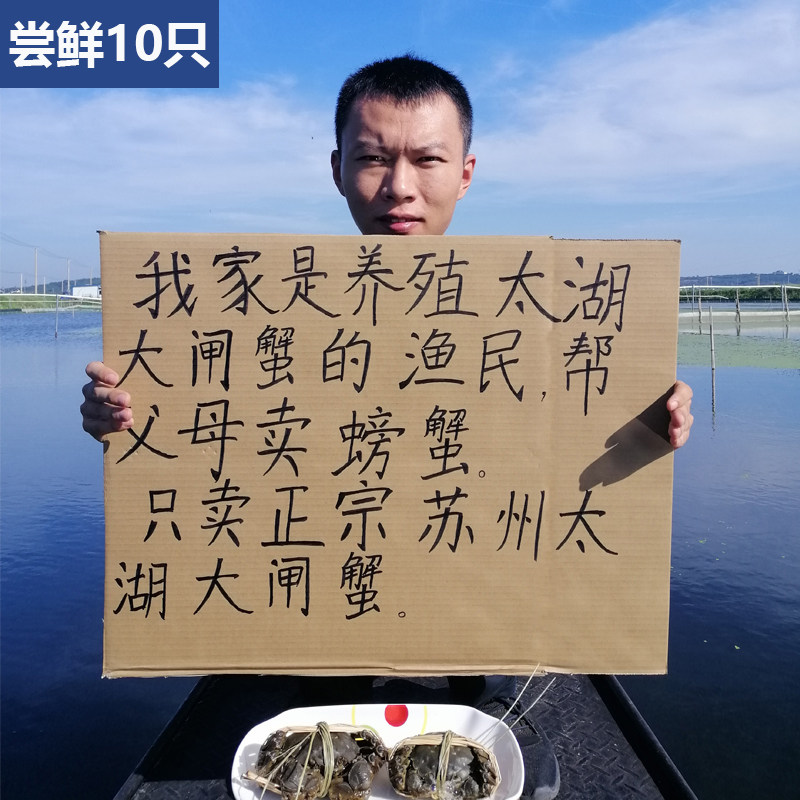 【活蟹】正宗苏州太湖大闸蟹鲜活大螃蟹全母2两公3两10只礼盒包邮,水产肉类/新鲜蔬果/熟食,大闸蟹,淘宝优惠券,粉丝福利购,淘宝优惠卷