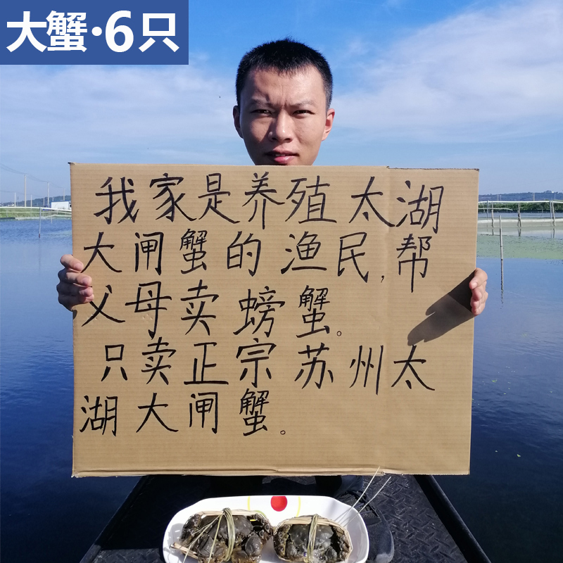 太湖大闸蟹大蟹6只装鲜活螃蟹