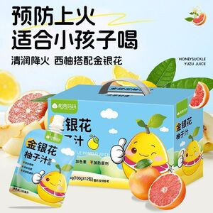 树壳玛玛金银花柚子汁滋补养生酸甜儿童饮品100g*12瓶苹果山楂汁