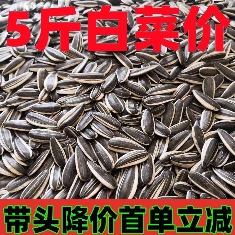 2026年新货内蒙古新鲜生瓜子炒熟原味生葵瓜子细长瓜子批发价零食