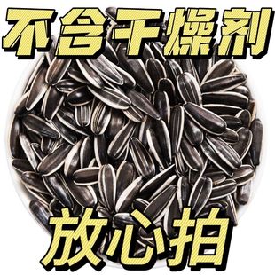 【特价】内蒙古原味生瓜子2025新货五原葵花籽年货批发无干燥剂