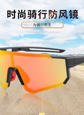 沙漠防沙眼镜骑行运动偏光镜防晒