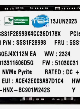 SK 海力士 BC901 Pyrite 256GB SSD M.2